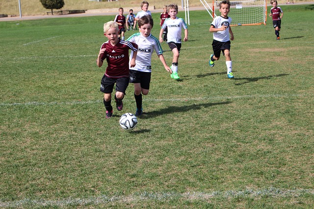 作为球队的 作为球队的