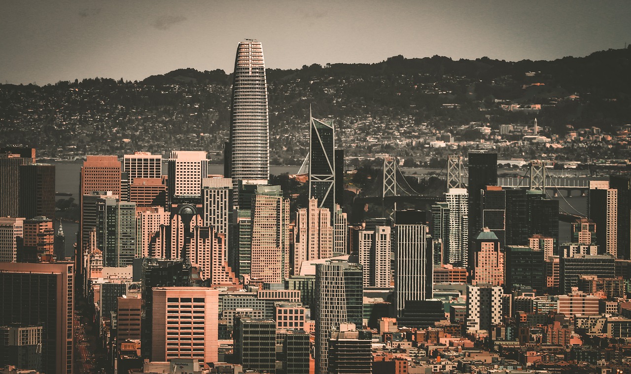 教练和队友 教练和队友