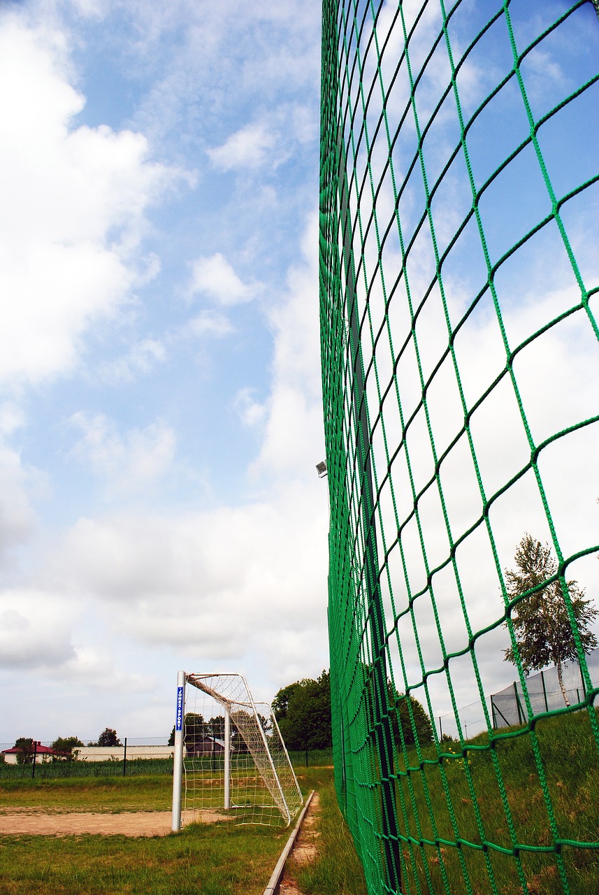 阳队在比赛 阳队在比赛