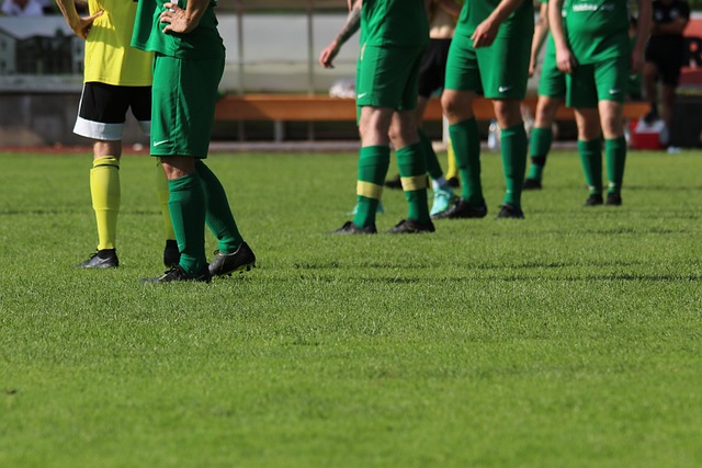 其领先地位 其领先地位