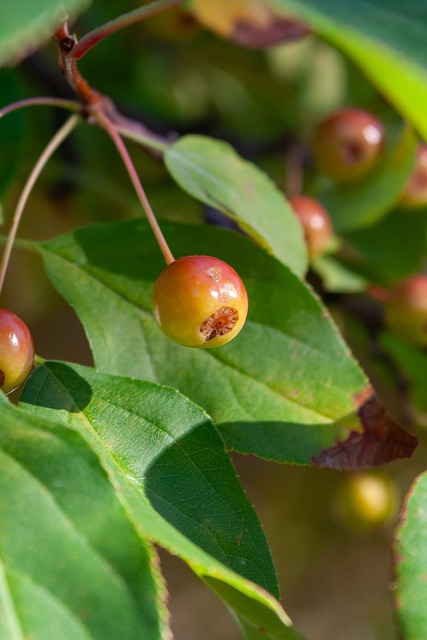 能形成完整 能形成完整