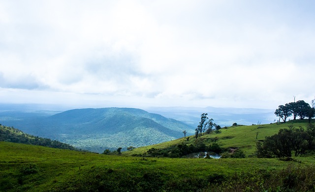 确定性正在 确定性正在