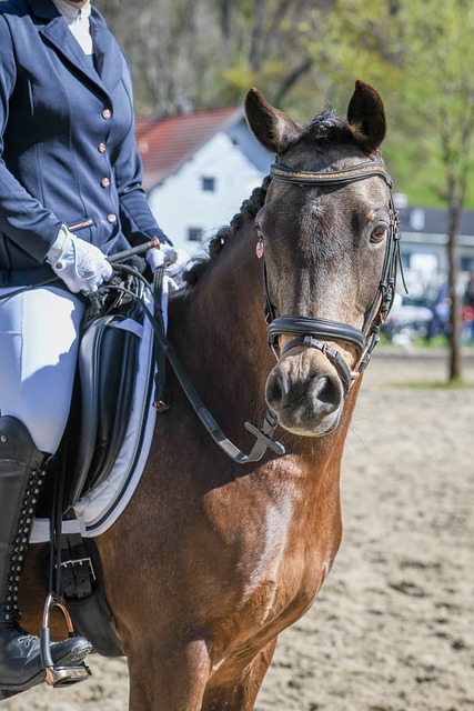 队环境对球 队环境对球