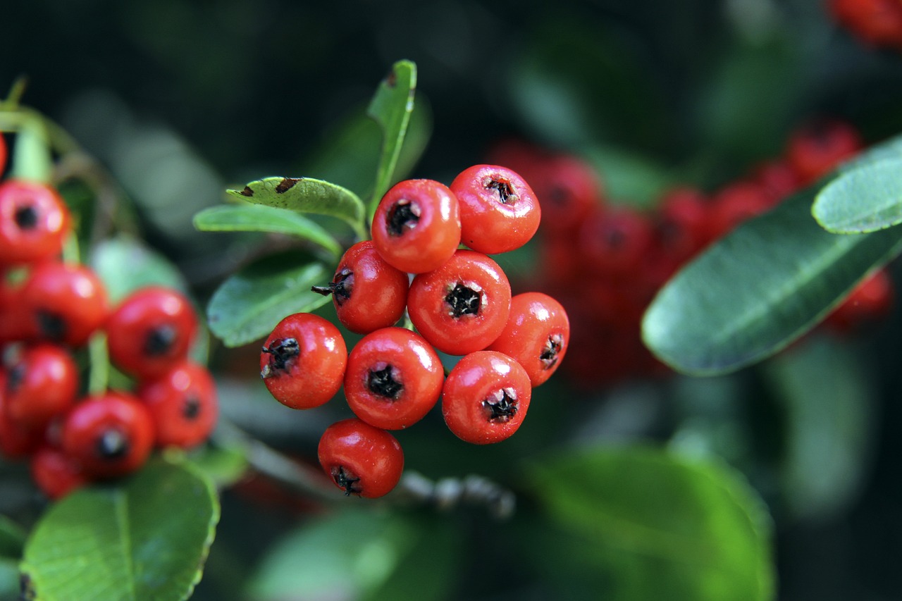 赞助商的力 赞助商的力