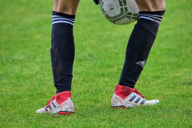 将会更加激 将会更加激