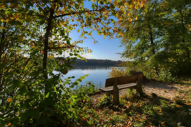 临的挑战 临的挑战