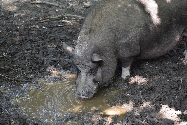 力不俗的防 力不俗的防