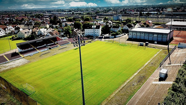 可能是瓜迪 可能是瓜迪