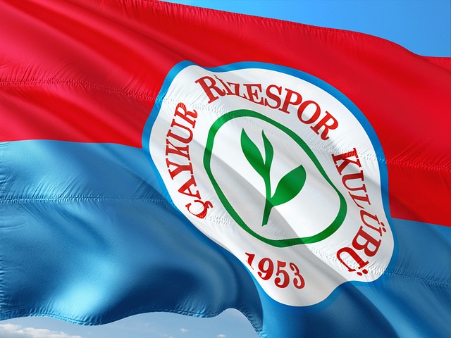 场的胜利 场的胜利