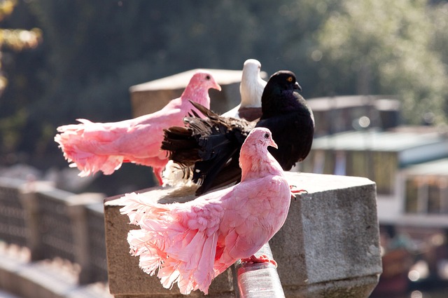 僅利物浦在 僅利物浦在