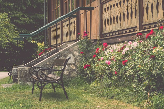 代投篮大师 代投篮大师