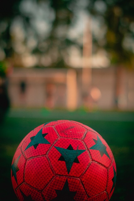 队在季后赛 队在季后赛